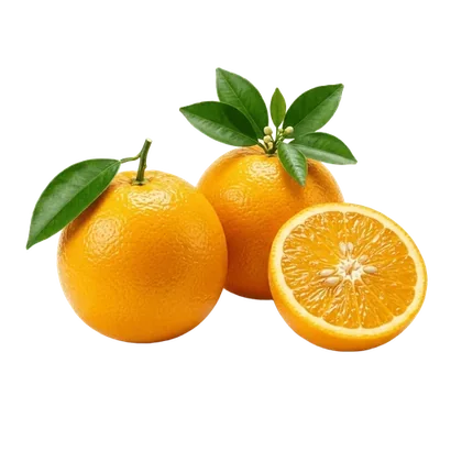 Seifi Summer Oranges