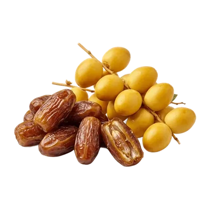 Egyptian Dates