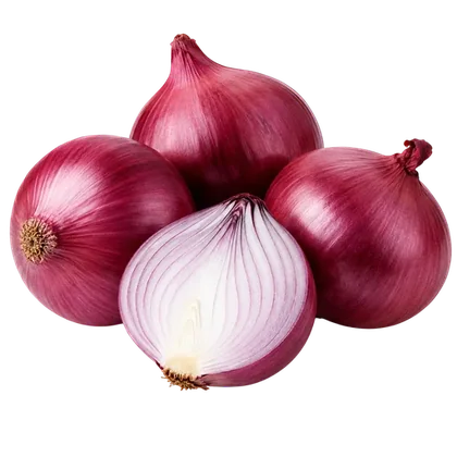 Egyptian Onions Golden and Red
